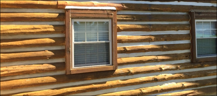 Log Home Whole Log Replacement  Boneville, Georgia